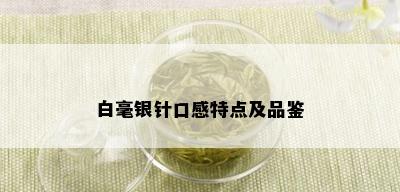 白毫银针口感特点及品鉴