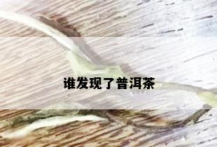 谁发现了普洱茶