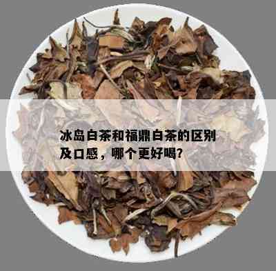 冰岛白茶和福鼎白茶的区别及口感，哪个更好喝？