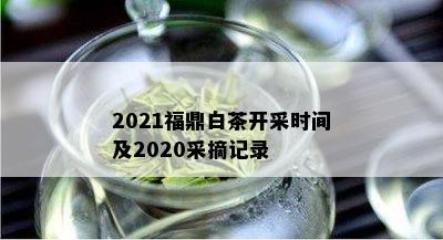 2021福鼎白茶开采时间及2020采摘记录