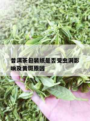 普洱茶包装纸是否受虫洞影响及黄斑原因