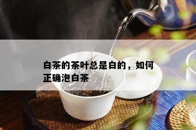 白茶的茶叶总是白的，如何正确泡白茶