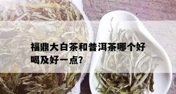 福鼎大白茶和普洱茶哪个好喝及好一点？