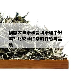 福鼎大白茶和普洱茶哪个好喝？比较两种茶的口感与品质