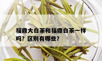 福鼎大白茶和福鼎白茶一样吗？区别有哪些？