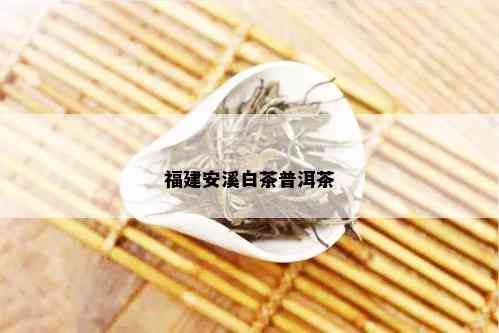 福建安溪白茶普洱茶