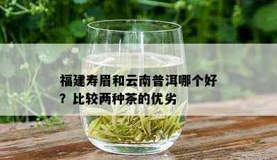 福建寿眉和云南普洱哪个好？比较两种茶的优劣