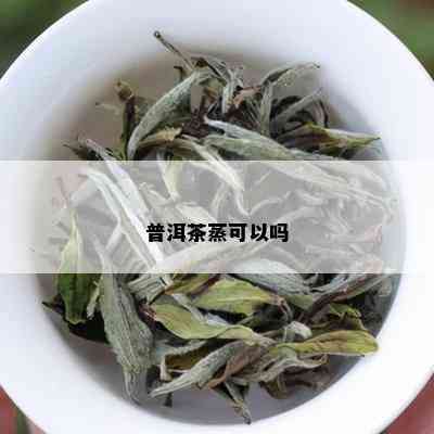 普洱茶蒸可以吗