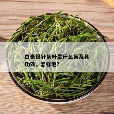 白毫银针茶叶是什么茶及其功效，怎样泡？