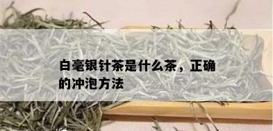 白毫银针茶是什么茶，正确的冲泡方法