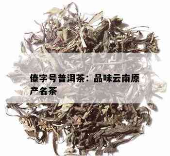 傣字号普洱茶：品味云南原产名茶