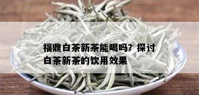 福鼎白茶新茶能喝吗？探讨白茶新茶的饮用效果