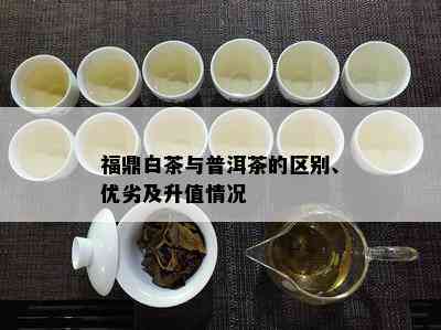 福鼎白茶与普洱茶的区别、优劣及升值情况