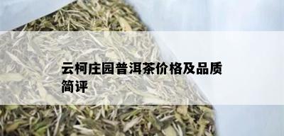 云柯庄园普洱茶价格及品质简评