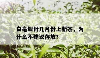 白毫银针几月份上新茶，为什么不建议存放？