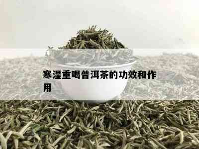 寒湿重喝普洱茶的功效和作用