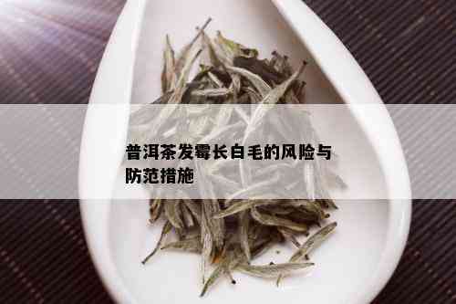 普洱茶发霉长白毛的风险与防范措施