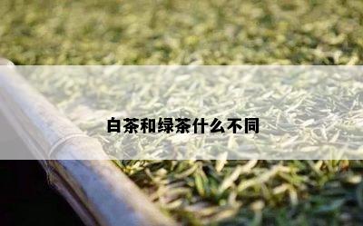 白茶和绿茶什么不同