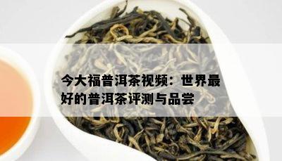 今大福普洱茶视频：世界更好的普洱茶评测与品尝