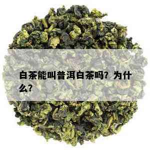 白茶能叫普洱白茶吗？为什么？