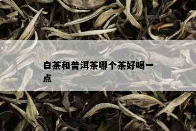 白茶和普洱茶哪个茶好喝一点