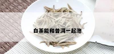 白茶能和普洱一起泡