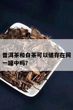 普洱茶和白茶可以储存在同一罐中吗？