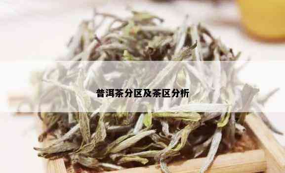 普洱茶分区及茶区分析