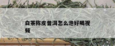 白茶陈皮普洱怎么泡好喝视频