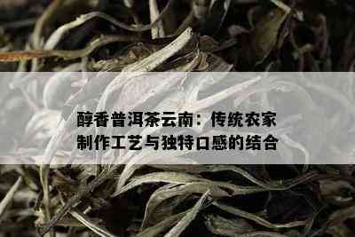 醇香普洱茶云南：传统农家制作工艺与独特口感的结合