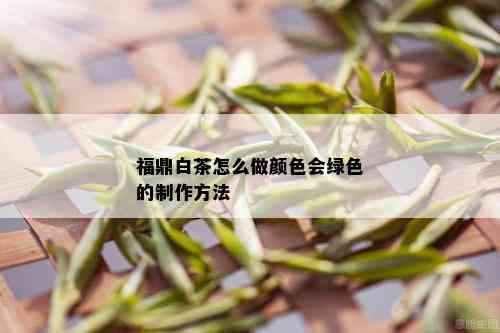 福鼎白茶怎么做颜色会绿色的制作方法