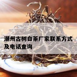 潮州古树白茶厂家联系方式及电话查询