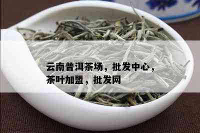 云南普洱茶场，批发中心，茶叶加盟，批发网