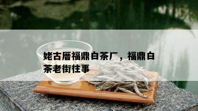 姥古厝福鼎白茶厂，福鼎白茶老街往事