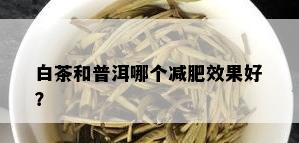 白茶和普洱哪个减肥效果好？