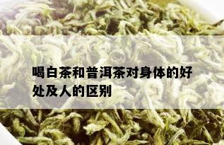 喝白茶和普洱茶对身体的好处及人的区别