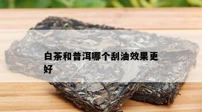 白茶和普洱哪个刮油效果更好