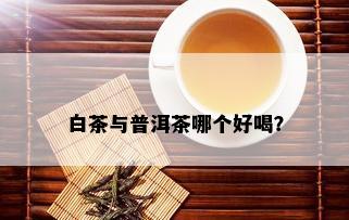 白茶与普洱茶哪个好喝？