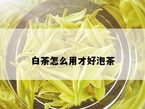 白茶怎么用才好泡茶