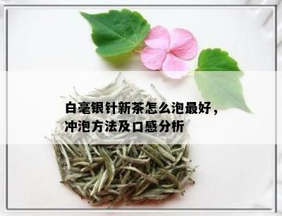 白毫银针新茶怎么泡更好，冲泡方法及口感分析