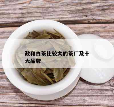 政和白茶比较大的茶厂及十大品牌