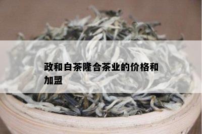 政和白茶隆合茶业的价格和加盟