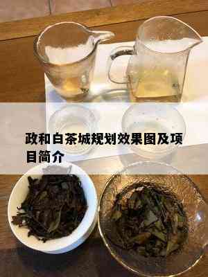 政和白茶城规划效果图及项目简介