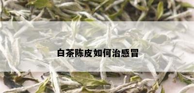 白茶陈皮如何治感冒