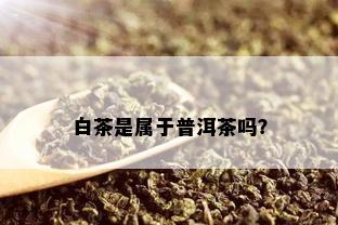 白茶是属于普洱茶吗？