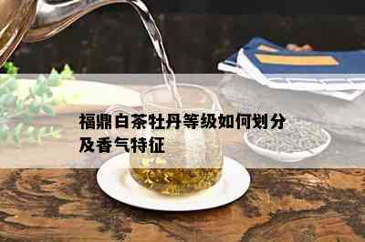 福鼎白茶牡丹等级如何划分及香气特征