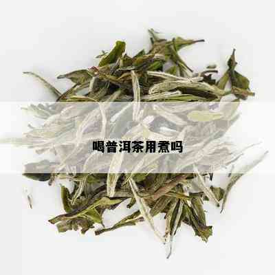 喝普洱茶用煮吗