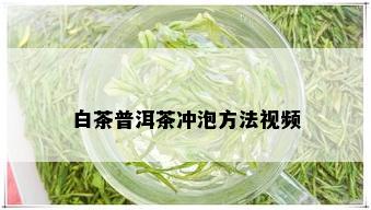 白茶普洱茶冲泡方法视频