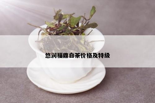 悠润福鼎白茶价格及特级