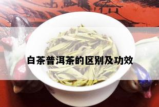 白茶普洱茶的区别及功效